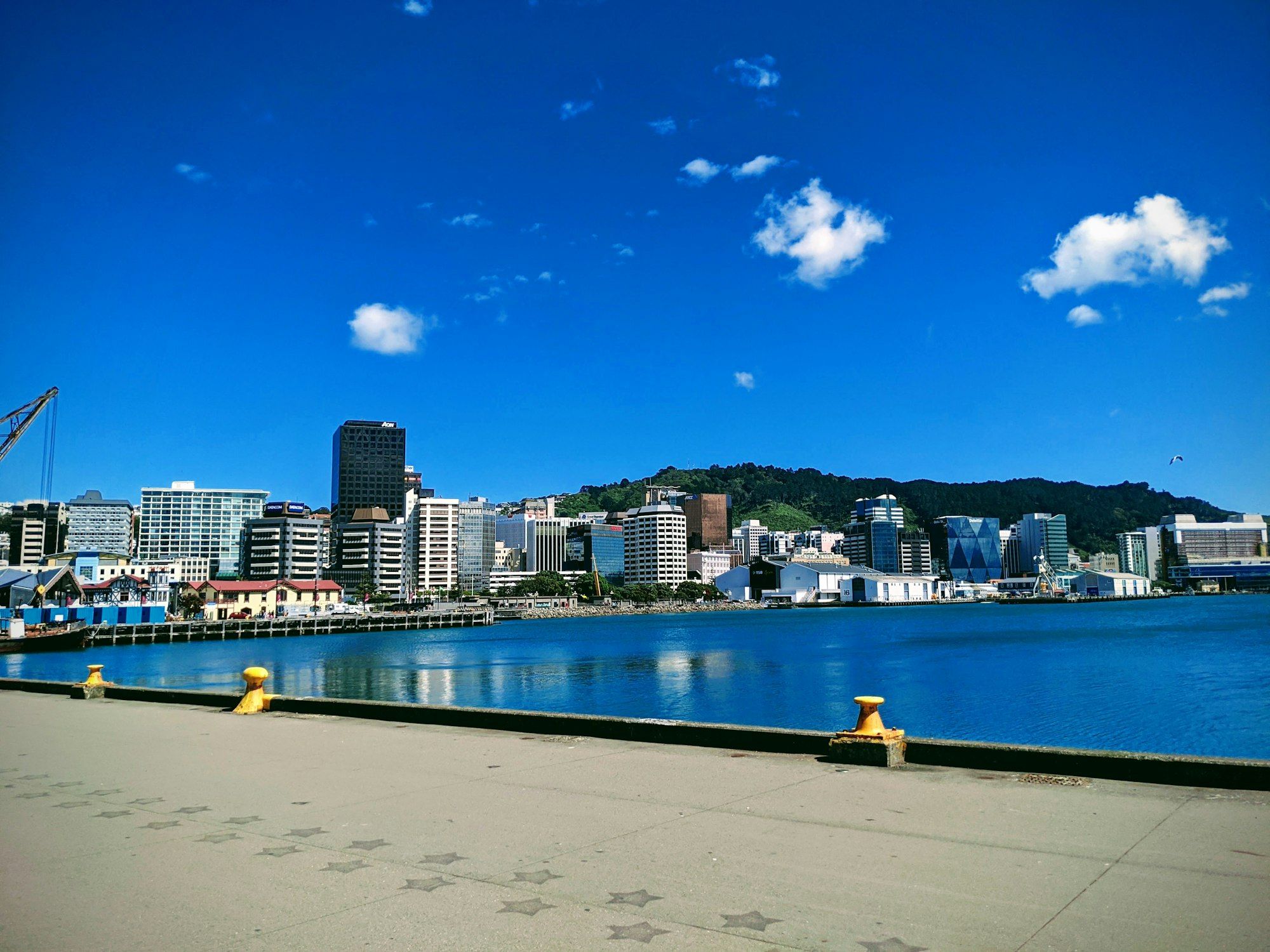 Office buildings lining the Wellington waterfront beside calm harbour water